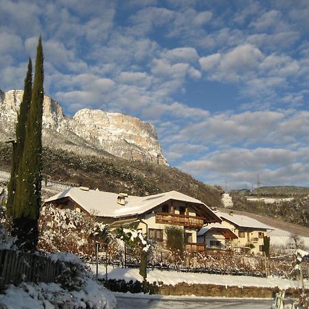 Gfillhof Ferienwohnung 3 Appiano Sulla Strada Del Vino Zewnętrze zdjęcie