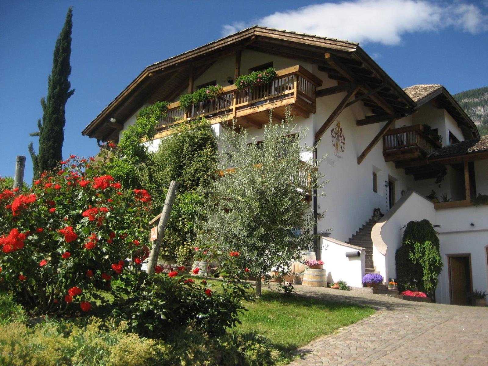 Gfillhof Ferienwohnung 3 Appiano Sulla Strada Del Vino Zewnętrze zdjęcie