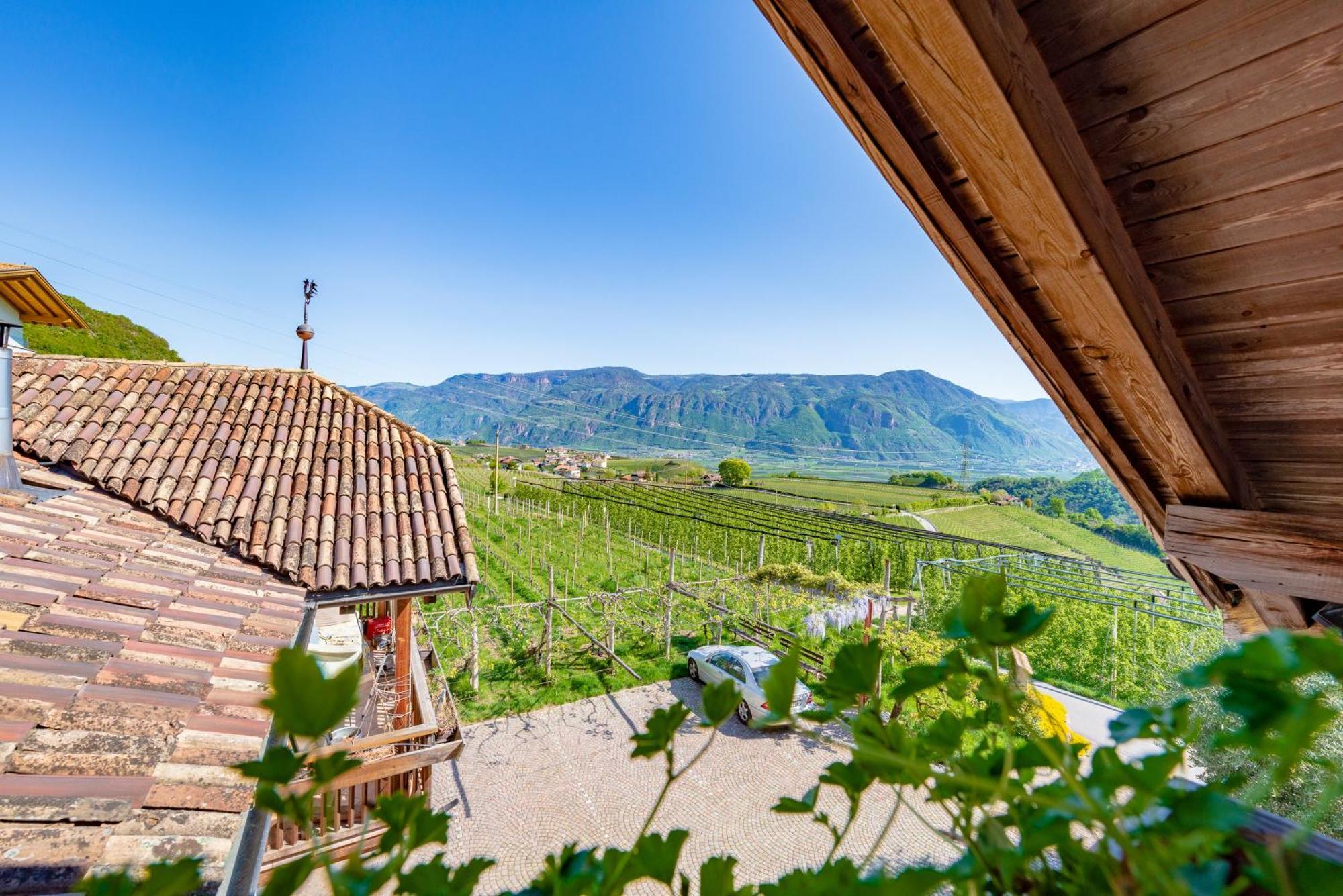 Gfillhof Ferienwohnung 3 Appiano Sulla Strada Del Vino Zewnętrze zdjęcie