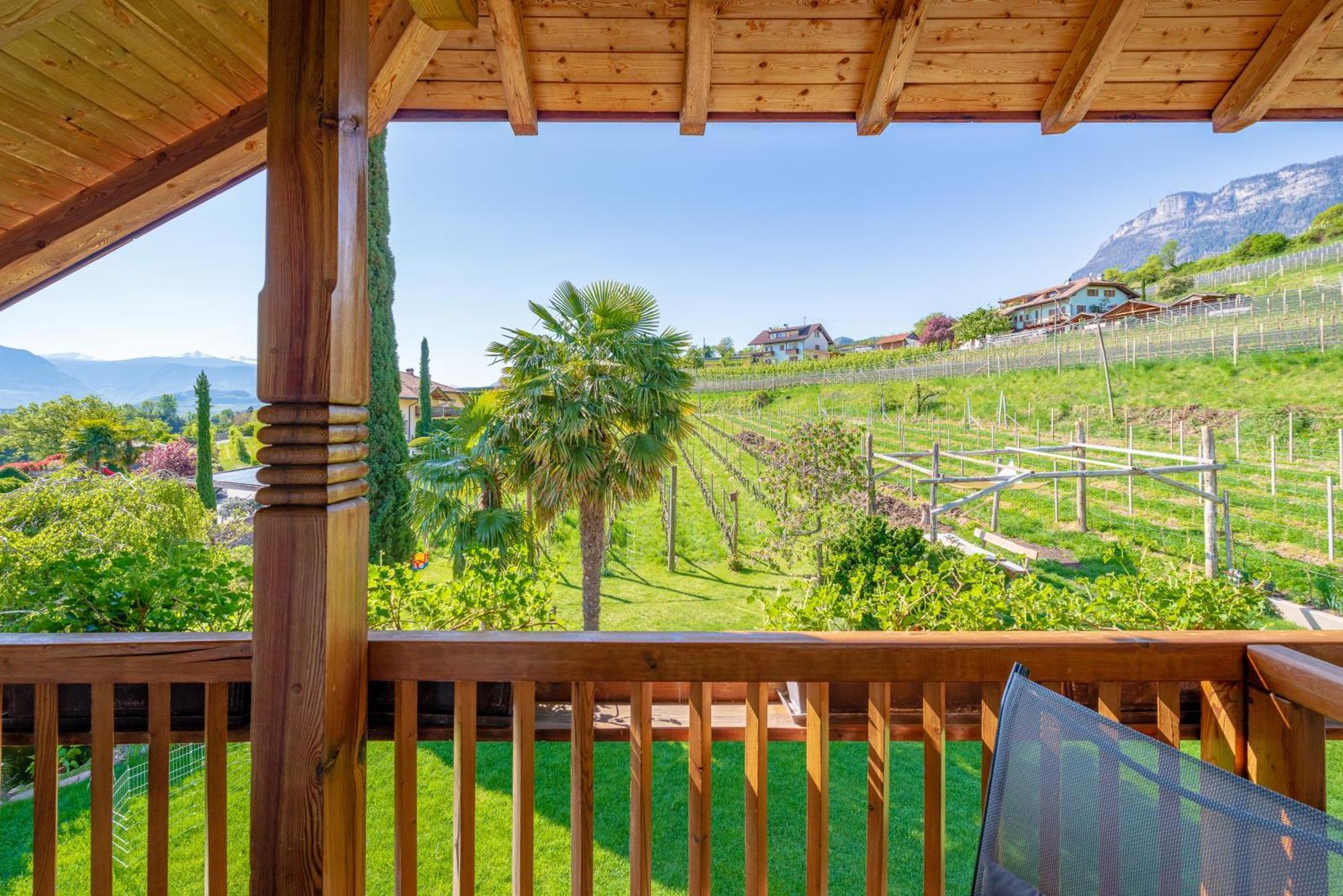 Gfillhof Ferienwohnung 3 Appiano Sulla Strada Del Vino Zewnętrze zdjęcie