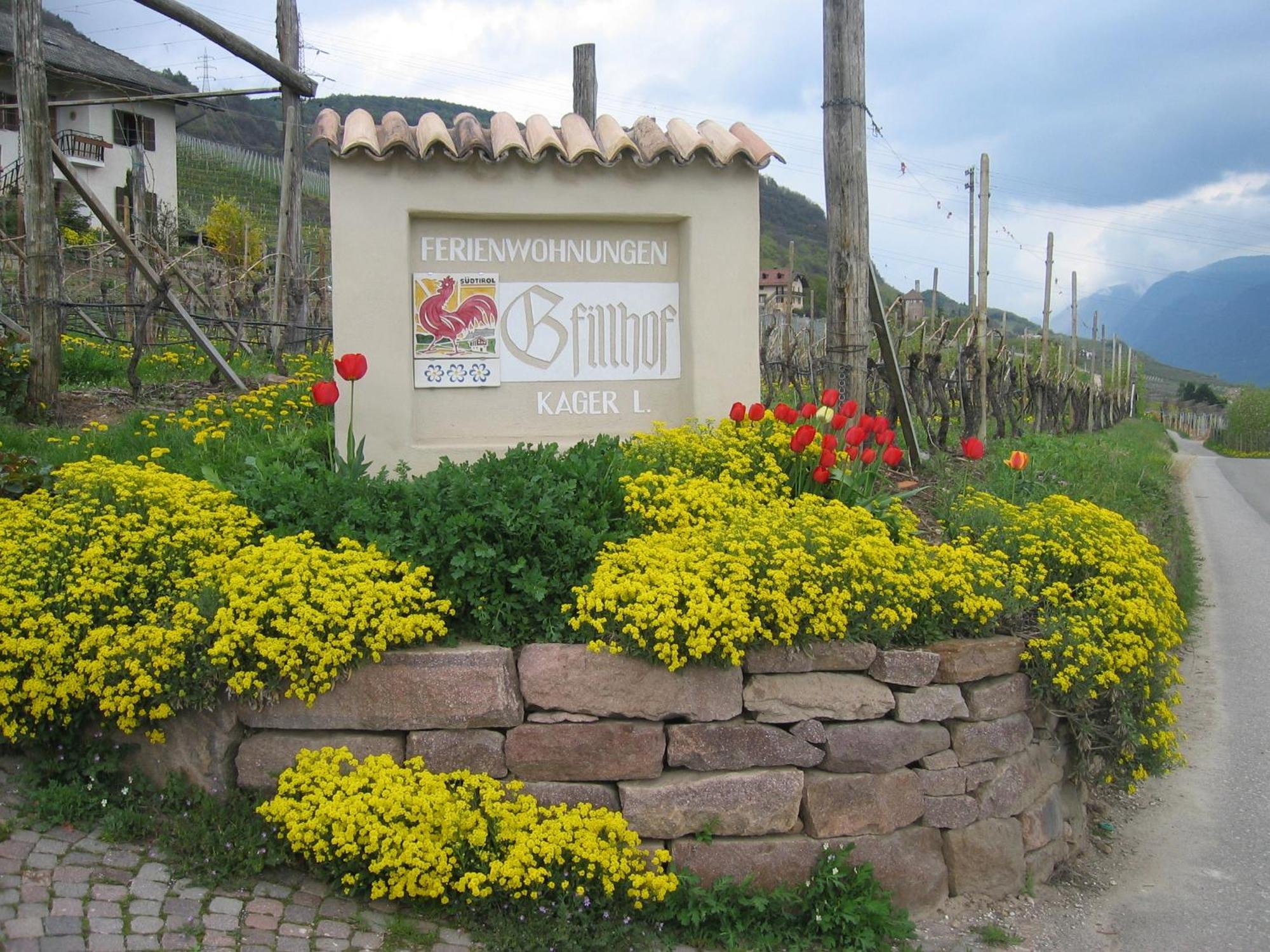 Gfillhof Ferienwohnung 3 Appiano Sulla Strada Del Vino Zewnętrze zdjęcie